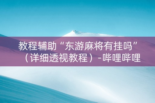 教程辅助“东游麻将有挂吗”（详细透视教程）-哔哩哔哩