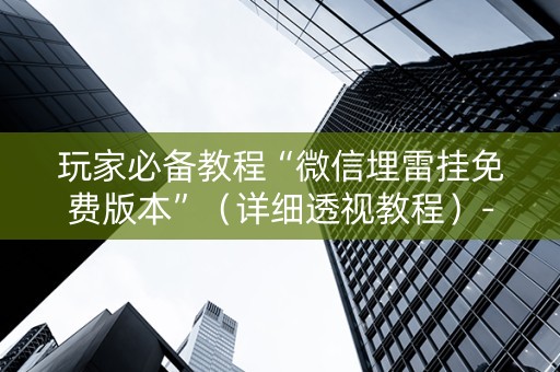 玩家必备教程“微信埋雷挂免费版本”（详细透视教程）-哔哩哔哩