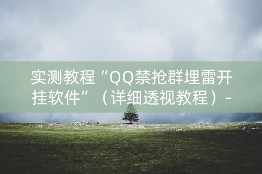 实测教程“QQ禁抢群埋雷开挂软件”（详细透视教程）-哔哩哔哩