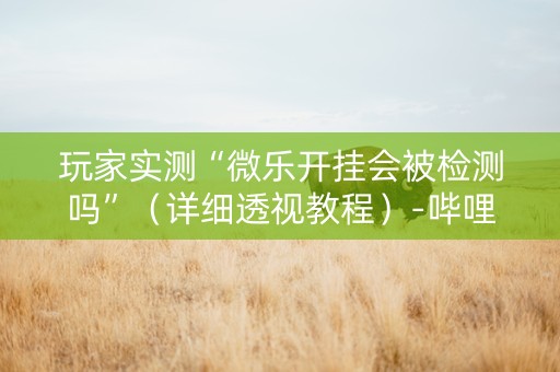 玩家实测“微乐开挂会被检测吗”（详细透视教程）-哔哩哔哩