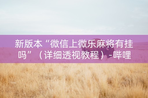 新版本“微信上微乐麻将有挂吗”（详细透视教程）-哔哩哔哩