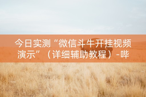 今日实测“微信斗牛开挂视频演示”（详细辅助教程）-哔哩哔哩