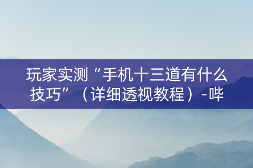玩家实测“手机十三道有什么技巧”（详细透视教程）-哔哩哔哩