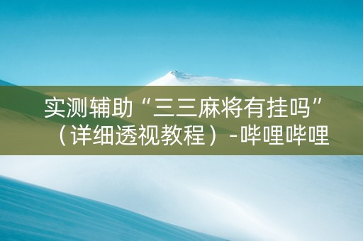 实测辅助“三三麻将有挂吗”（详细透视教程）-哔哩哔哩
