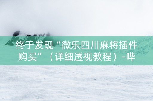 终于发现“微乐四川麻将插件购买”（详细透视教程）-哔哩哔哩