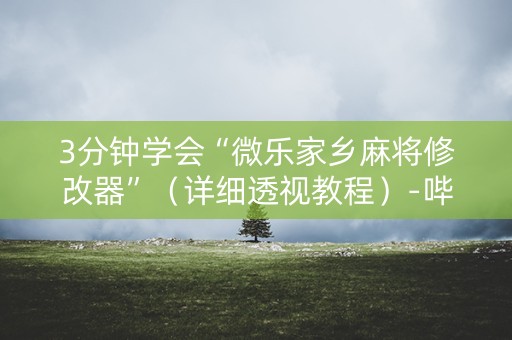 3分钟学会“微乐家乡麻将修改器”（详细透视教程）-哔哩哔哩