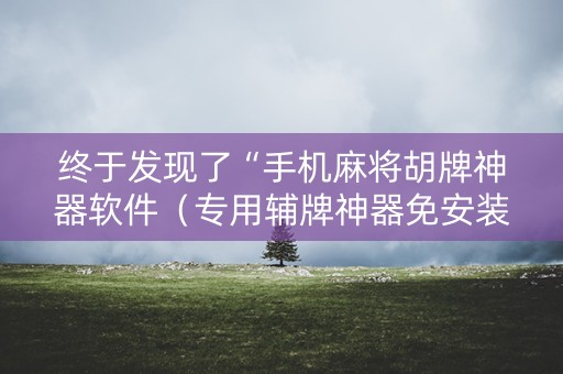 终于发现了“手机麻将胡牌神器软件（专用辅牌神器免安装）