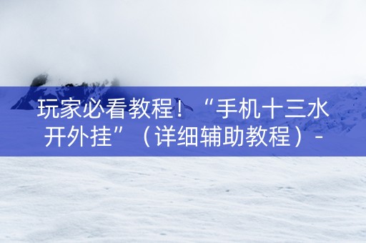 玩家必看教程！“手机十三水开外挂”（详细辅助教程）-哔哩哔哩