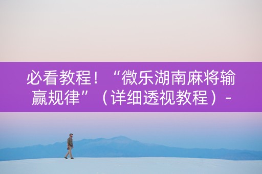 必看教程！“微乐湖南麻将输赢规律”（详细透视教程）-哔哩哔哩