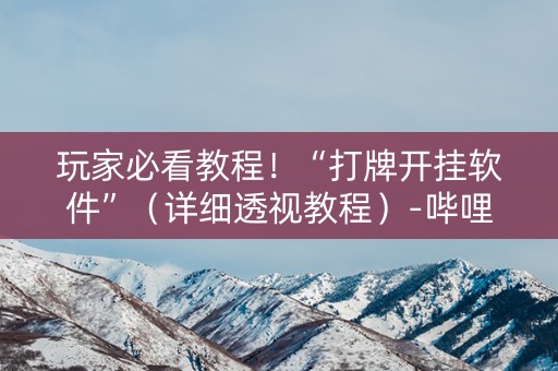 玩家必看教程！“打牌开挂软件”（详细透视教程）-哔哩哔哩