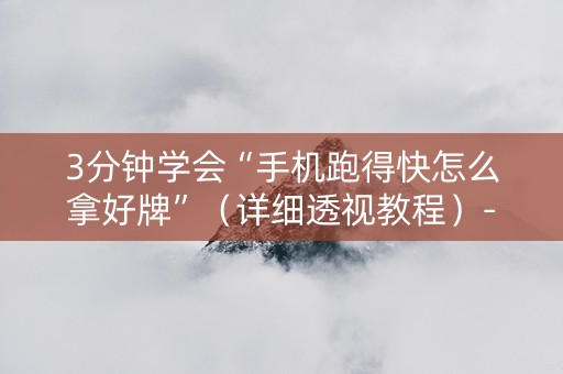 3分钟学会“手机跑得快怎么拿好牌”（详细透视教程）-哔哩哔哩