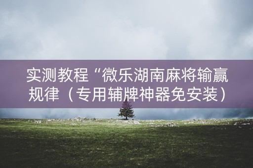 实测教程“微乐湖南麻将输赢规律（专用辅牌神器免安装）
