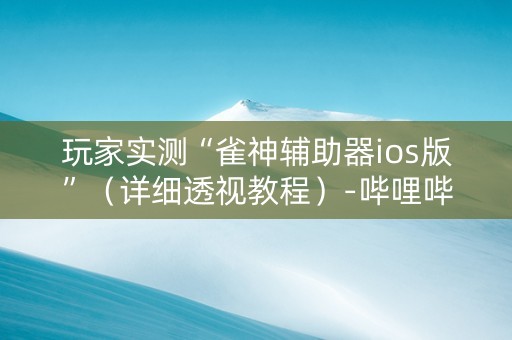 玩家实测“雀神辅助器ios版”（详细透视教程）-哔哩哔哩