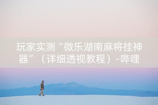 玩家实测“微乐湖南麻将挂神器”（详细透视教程）-哔哩哔哩