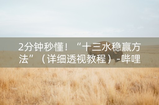 2分钟秒懂！“十三水稳赢方法”（详细透视教程）-哔哩哔哩
