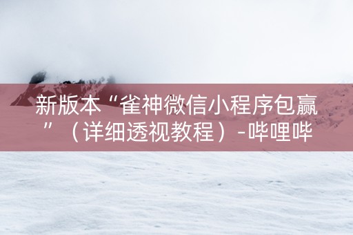 新版本“雀神微信小程序包赢”（详细透视教程）-哔哩哔哩