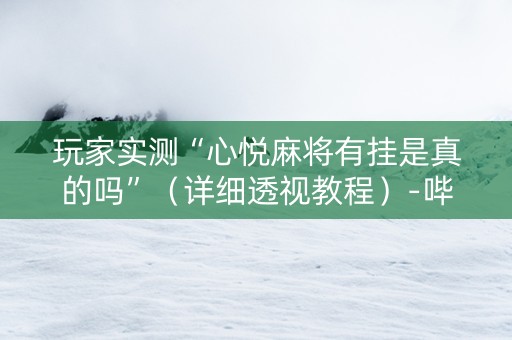 玩家实测“心悦麻将有挂是真的吗”（详细透视教程）-哔哩哔哩