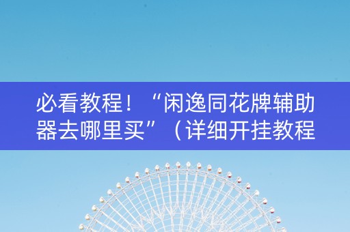 必看教程！“闲逸同花牌辅助器去哪里买”（详细开挂教程）-哔哩哔哩