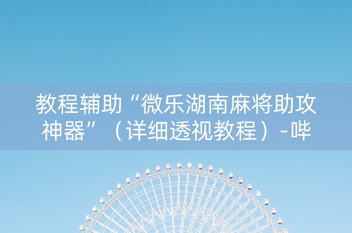 教程辅助“微乐湖南麻将助攻神器”（详细透视教程）-哔哩哔哩