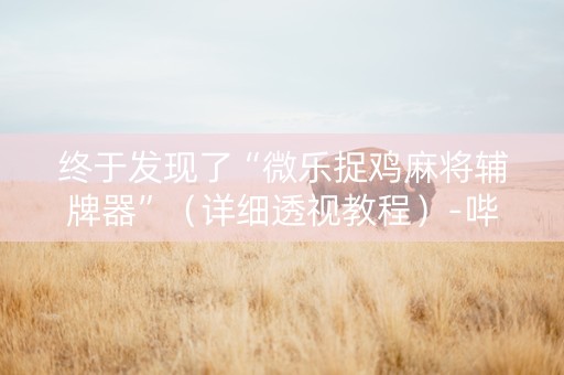 终于发现了“微乐捉鸡麻将辅牌器”（详细透视教程）-哔哩哔哩
