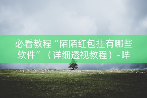 必看教程“陌陌红包挂有哪些软件”（详细透视教程）-哔哩哔哩