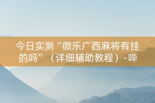 今日实测“微乐广西麻将有挂的吗”（详细辅助教程）-哔哩哔哩