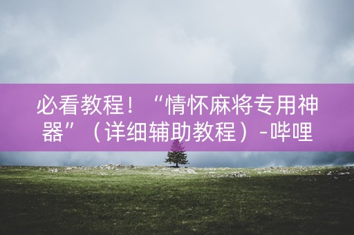 必看教程！“情怀麻将专用神器”（详细辅助教程）-哔哩哔哩