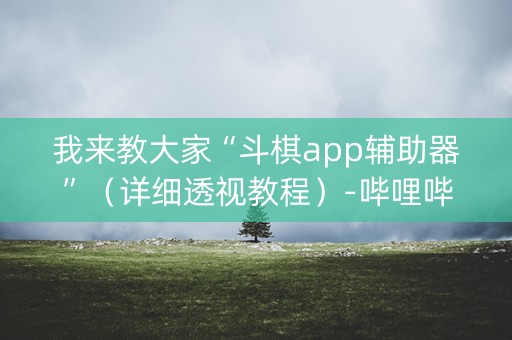 我来教大家“斗棋app辅助器”（详细透视教程）-哔哩哔哩