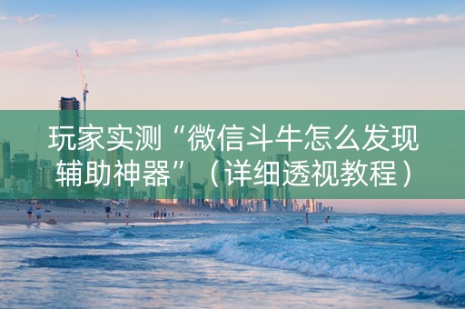 玩家实测“微信斗牛怎么发现辅助神器”（详细透视教程）-哔哩哔哩