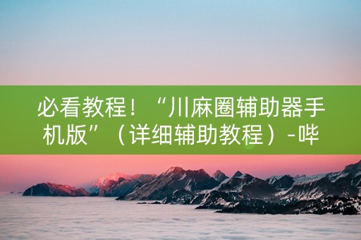 必看教程！“川麻圈辅助器手机版”（详细辅助教程）-哔哩哔哩