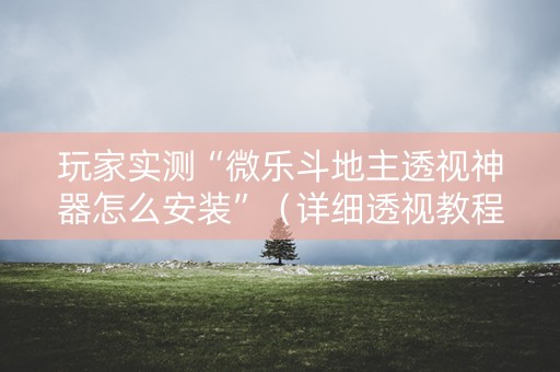 玩家实测“微乐斗地主透视神器怎么安装”（详细透视教程）-哔哩哔哩