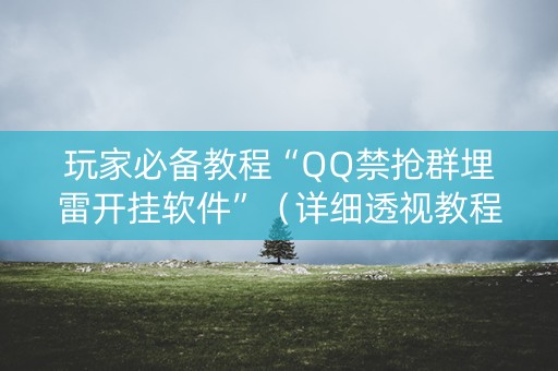 玩家必备教程“QQ禁抢群埋雷开挂软件”（详细透视教程）-哔哩哔哩