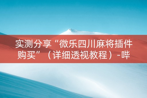 实测分享“微乐四川麻将插件购买”（详细透视教程）-哔哩哔哩