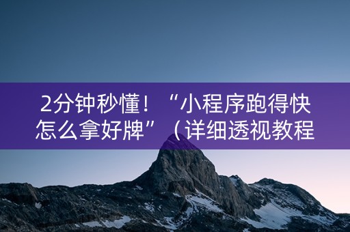 2分钟秒懂！“小程序跑得快怎么拿好牌”（详细透视教程）-哔哩哔哩