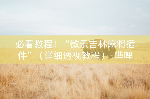 必看教程！“微乐吉林麻将插件”（详细透视教程）-哔哩哔哩