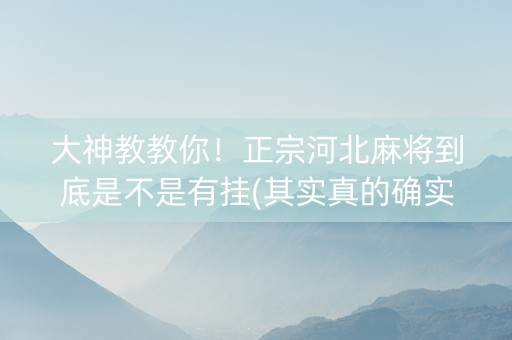 大神教教你！正宗河北麻将到底是不是有挂(其实真的确实有挂)