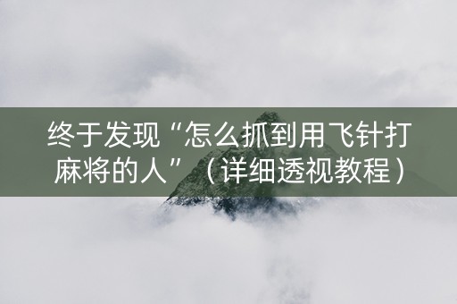 终于发现“怎么抓到用飞针打麻将的人”（详细透视教程）-哔哩哔哩