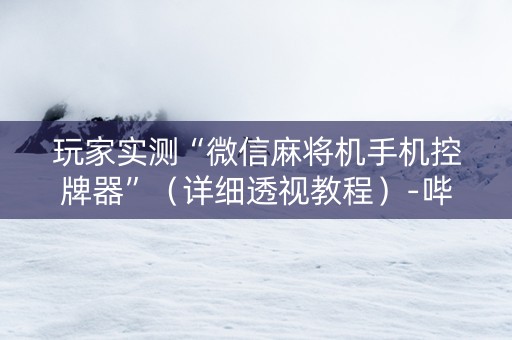 玩家实测“微信麻将机手机控牌器”（详细透视教程）-哔哩哔哩