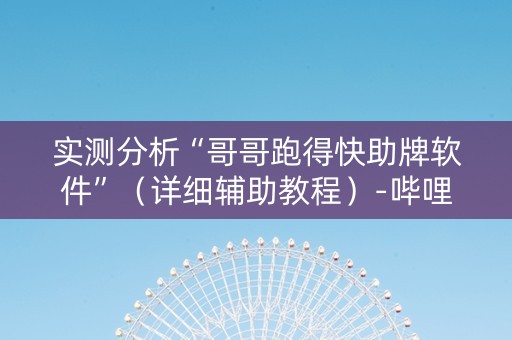 实测分析“哥哥跑得快助牌软件”（详细辅助教程）-哔哩哔哩