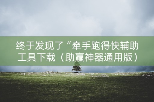 终于发现了“牵手跑得快辅助工具下载（助赢神器通用版）