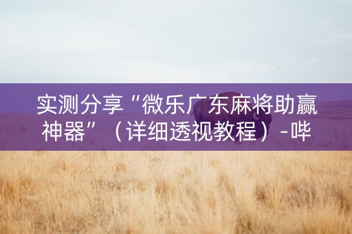 实测分享“微乐广东麻将助赢神器”（详细透视教程）-哔哩哔哩