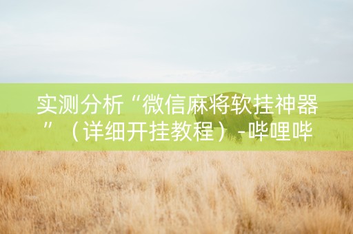 实测分析“微信麻将软挂神器”（详细开挂教程）-哔哩哔哩