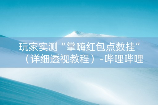 玩家实测“掌嗨红包点数挂”（详细透视教程）-哔哩哔哩