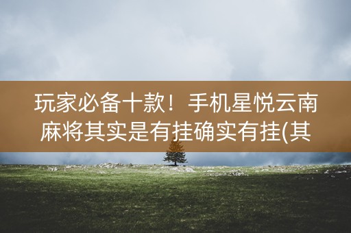 玩家必备十款！手机星悦云南麻将其实是有挂确实有挂(其实是有挂的)
