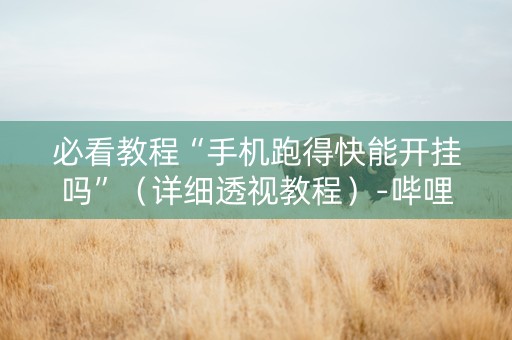必看教程“手机跑得快能开挂吗”（详细透视教程）-哔哩哔哩