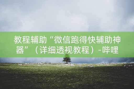 教程辅助“微信跑得快辅助神器”（详细透视教程）-哔哩哔哩