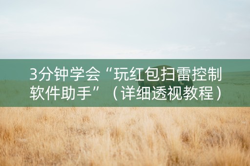 3分钟学会“玩红包扫雷控制软件助手”（详细透视教程）-哔哩哔哩