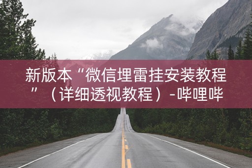 新版本“微信埋雷挂安装教程”（详细透视教程）-哔哩哔哩