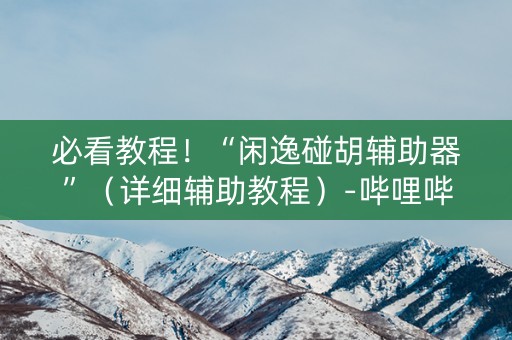 必看教程！“闲逸碰胡辅助器”（详细辅助教程）-哔哩哔哩