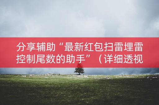 分享辅助“最新红包扫雷埋雷控制尾数的助手”（详细透视教程）-哔哩哔哩
